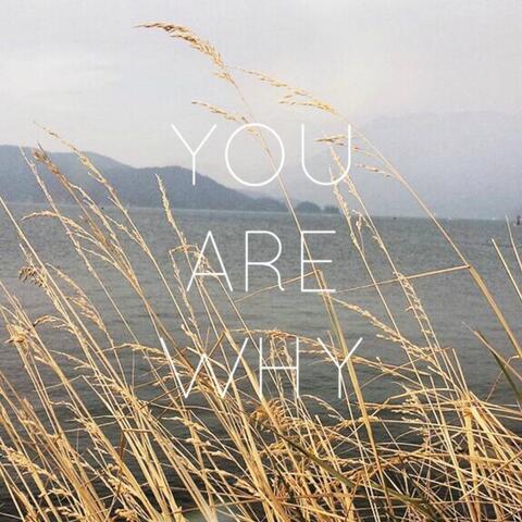 You Are Why