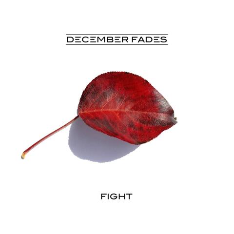 Fight