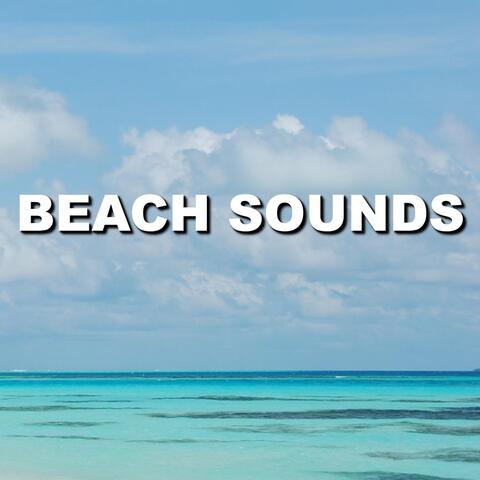 Beach Sounds