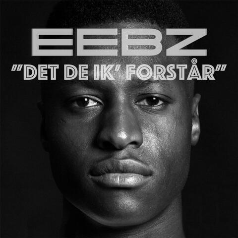 Det De Ik Forstår