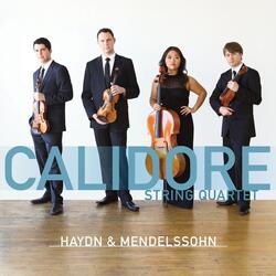 String Quartet No. 2 in A Minor, Op. 13: IV. Presto - Adagio non lento