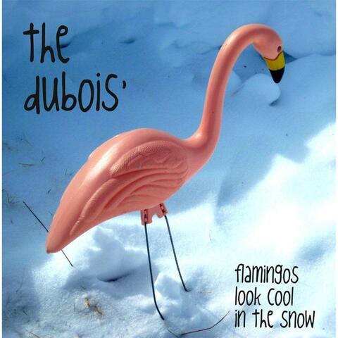Flamingos Look Cool in the Snow