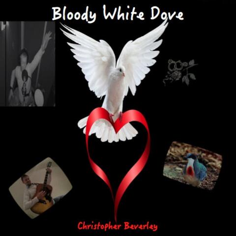 Bloody White Dove