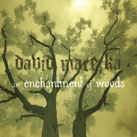 An Enchantment of Woods