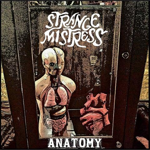Anatomy