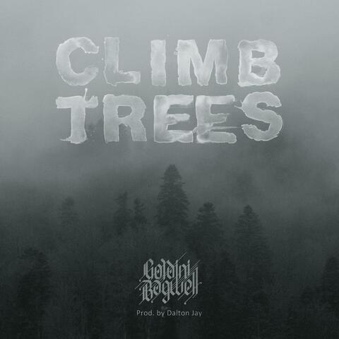 Climb Trees