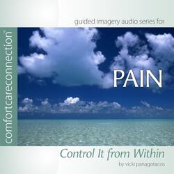 Pain: Transforming the Pain
