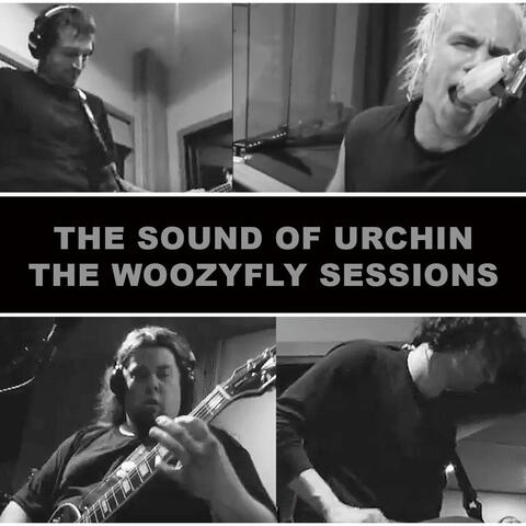 The Woozyfly Sessions