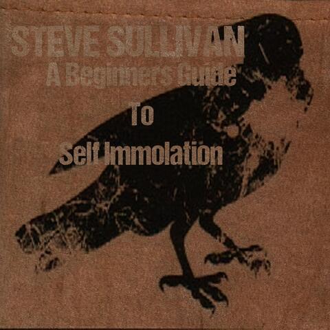 A Beginner's Guide to Self Immolation