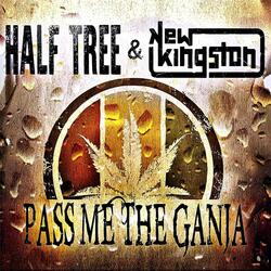 Pass Me the Ganja (feat. New Kingston)