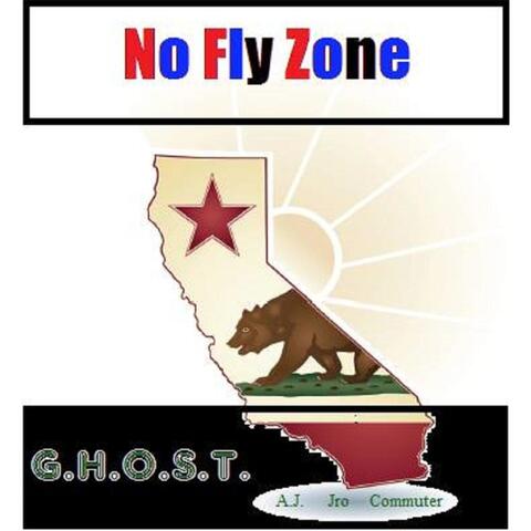 No Fly Zone (N.F.Z)