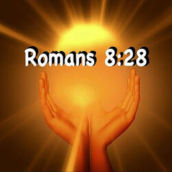 Romans 8:28 (Amplified Bible)