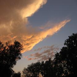 Beyond the Yellow Dawn