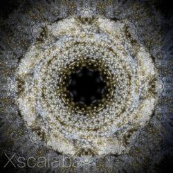 Xx833 Bide Basic