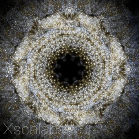 Xx833 Bide Basic
