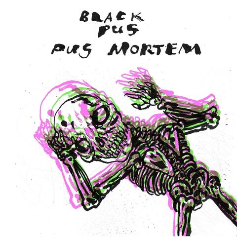 Pus Mortem