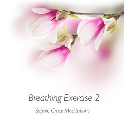 Breathing Exercise 2 (With Ocean and Theta Waves)
