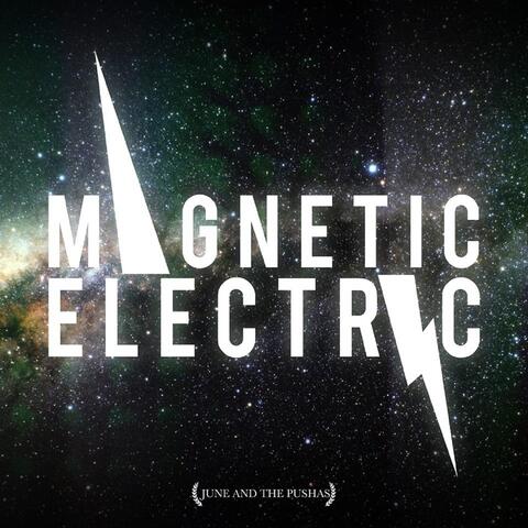 Magnetic Electric