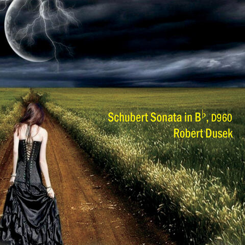 Schubert: Sonata in B-Flat, D. 960