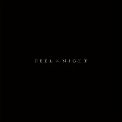 Feel the Night