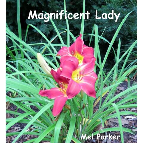 Magnificent Lady