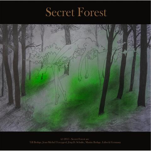 Secret Forest