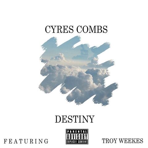 Destiny (feat. Troy Weekes)