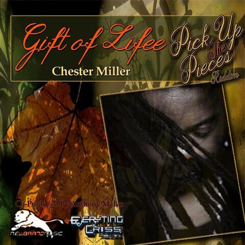 Gift of Life
