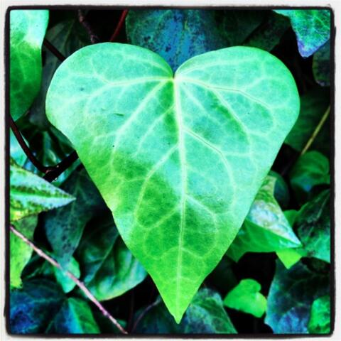 Sweet Heart (Acoustic)