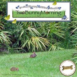 Two Bunny Morning