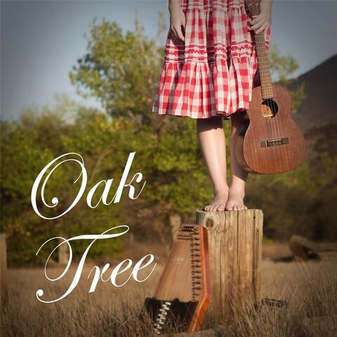 Oak Tree