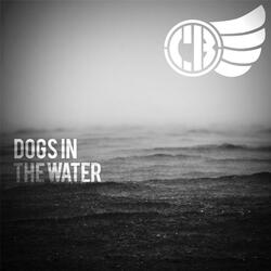 Dogs in the Water
