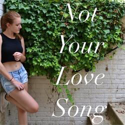Not Your Love Song
