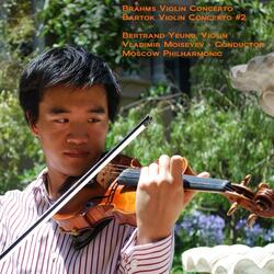 Violin Concerto No. 2 in B-Flat, 117: I. Allegro non troppo