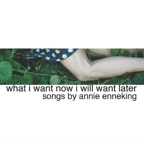 What I Want Now I Will Want Later