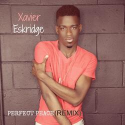 Perfect Peace (Remix)