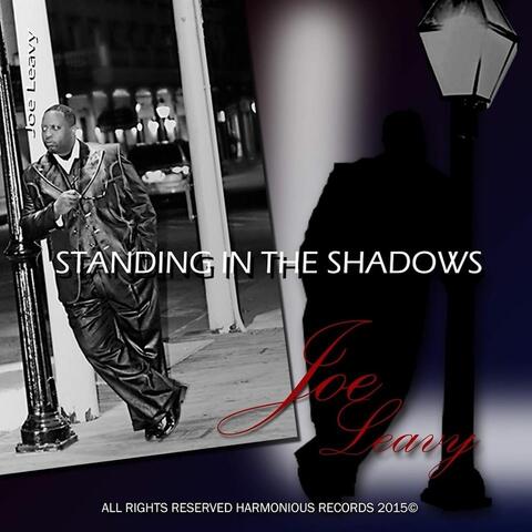 Standing in the Shadows  (feat. Vincent Lars)
