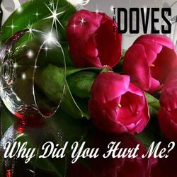 Why Did You Hurt Me?