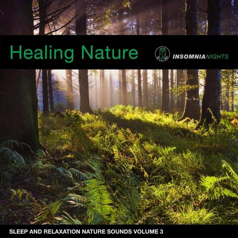 Healing Forest (Sleep and Relaxation Nature Sounds, Vol. 3)