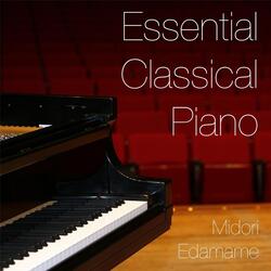 Piano Sonata No. 14 in C-Sharp Minor, Op. 27 "Moonlight": Adagio sostenuto
