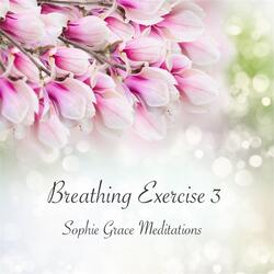 Breathing Exercise 3 Version 3 (With Ocean Waves)