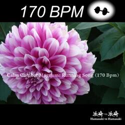 Calm Combat Magnum: Running Song (170 Bpm)
