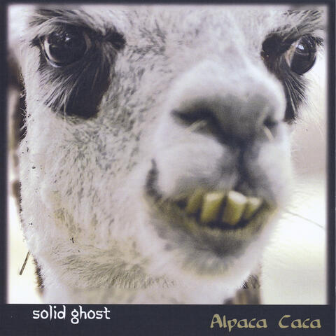 Alpaca Caca