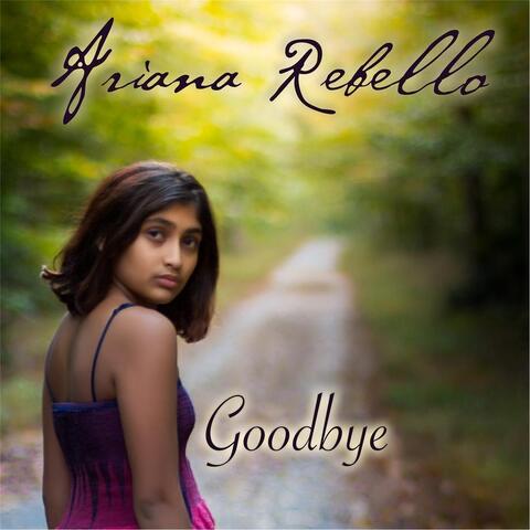 Goodbye