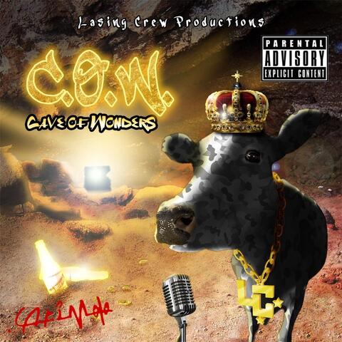 C.O.W. (Cave of Wonders)