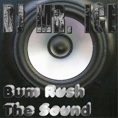 Bum Rush the Sound