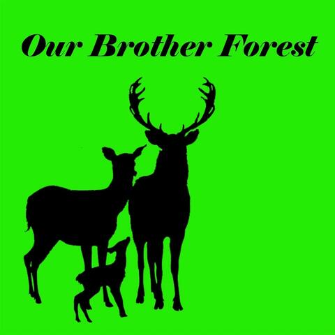 Our Brother Forest