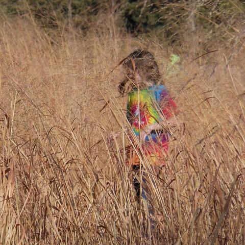 The Invisible Girl