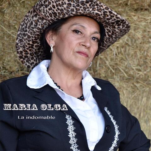 Los Indocumentados