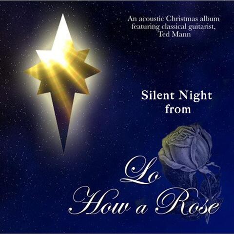 Silent Night (From "Lo How a Rose")
